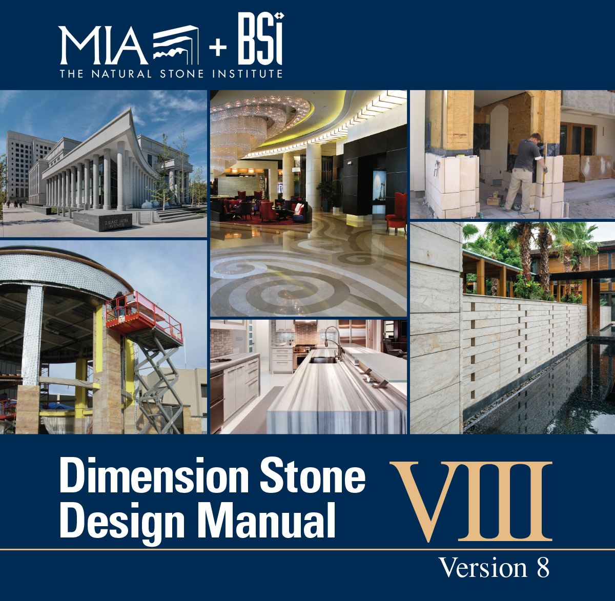 DSDM 8-MIA_BSI-newest cover.jpg